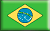 Brasileiro